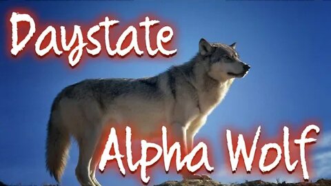 Daystate Alpha Wolf part 1 The Basics