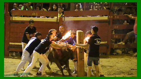 NOVALLAS ( ZARAGOZA ) NOCHE TORO DE RONDA ( SABADO 1 JULIO 2023 ) GANAD.EL RUISEÑOR