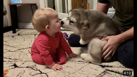 Adorable Puppy Meets Baby And Its Love At First Sight! The Best Years Of Their Lives (Cutest Ever!!)