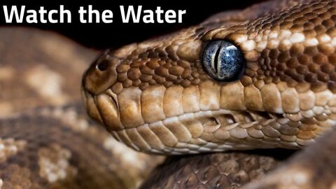 THE RONA IS NOT A VIRUS BUT SNAKE VENOM AND THEY USED THE WATER SUPPLY TO SPREAD IT.