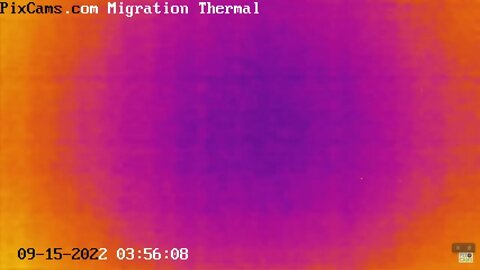 Fall Migration 2022 Thermal Camera - 9/15/2022 @ 3:55 AM - Fifteen birds in 1-minute