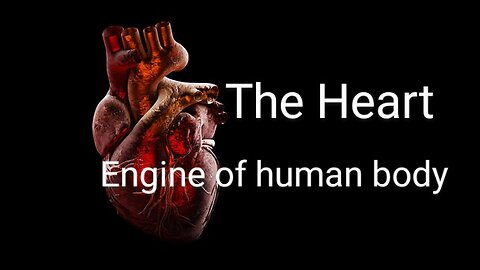 The Heart Unveiled: Exploring the Marvels of Cardiovascular Science with AI"