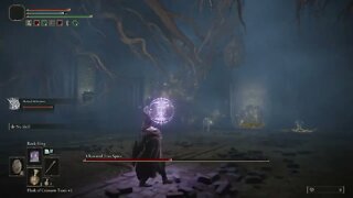 (Elden Ring) Ulcerated Tree Spirit Boss Battle