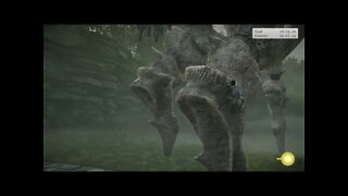 The 4th Colossus Hard Mode Time Trials | Shadow of the Colossus | Stream Clips