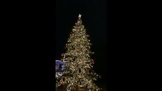 Christmas in Aalborg | The Largest Christmas Tree Ever!!