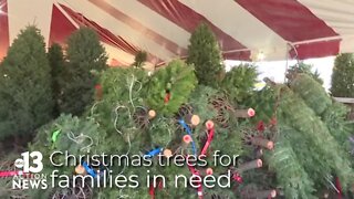 200 Christmas trees provided to families in need