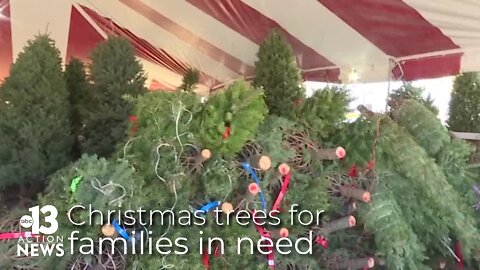 200 Christmas trees provided to families in need