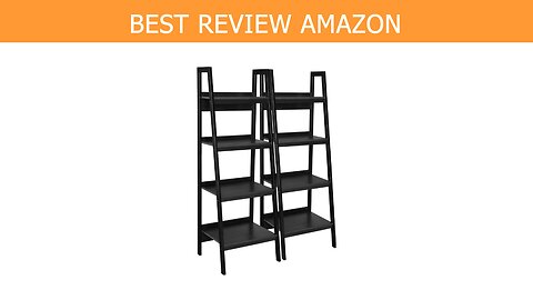 Ameriwood Home Lawrence Ladder Bookcase Review