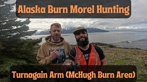 Alaska Burn Morel Hunting McHugh Burn Area