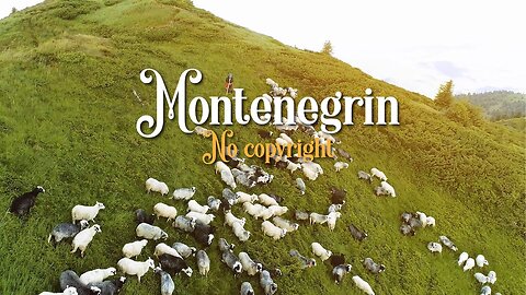 Aerial view of sheep farm on a mountain meadow in Montenegro