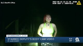 Stabbed deputy's body cam video released