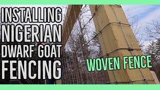 Installing Nigerian Dwarf Goat Fencing ||30x60 Woven Wire||