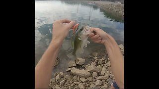 fishing nickajack