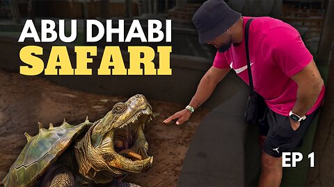 Living in Dubai EP. 1: Exploring Abu Dhabi Wildlife