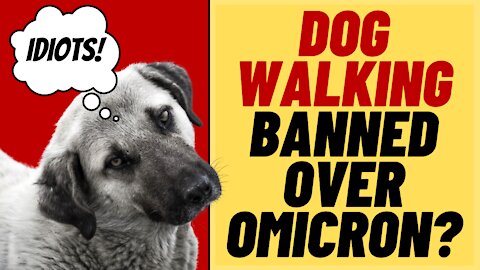 Insane Ban On Dog Walking In Quebec