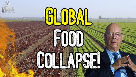 GLOBAL FOOD COLLAPSE! - Shortages Lead To Rations As Globalists Attack Farmers!