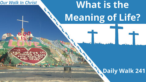 What is the Meaning of Life | Daily Walk 241