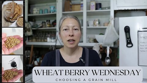 Wheat Berry Wednesday | Choosing a GRAIN MILL