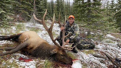 Winter Hunting For Elk - Stuck N The Rut