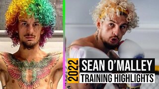 Sean O'Malley - Training Highlights 2022 - UFC 280