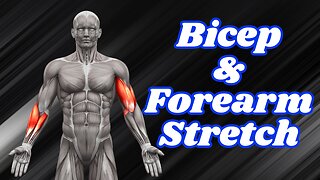 Kneeling Forearm and Bicep Stretch to Enhance Muscle Flexibility