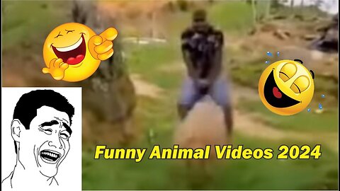 Funny Animal Videos 2024 🥰 - Funniest Dogs and Cats Videos 😁 #01