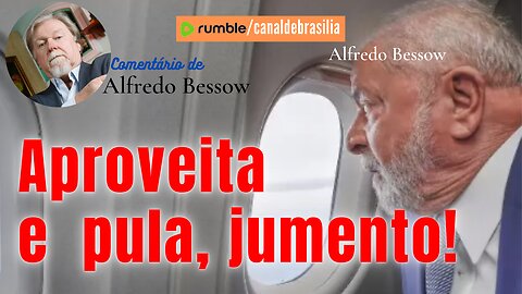 Fica lá em Cuba, jumento...