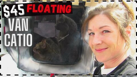 DIY Off-Ground Van Catio | Keep cats happy and safe while camping!!