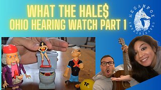 What the Hale$ HEARING WATCH: Ohio Hearing Part 1