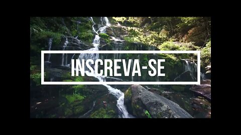 🍃😴 MUSICA RELAXANTE PARA DORMIR COM SOM DE CACHOEIRA E FLORESTA