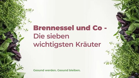 06. Brennessel und Co, Die sieben wichtigsten Kräuter # Heidi Kohl # Gesund werden. gesund bleiben.