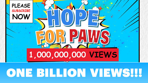 We did it!!! ONE BILLION views of awareness on our Hope For Paws channel!