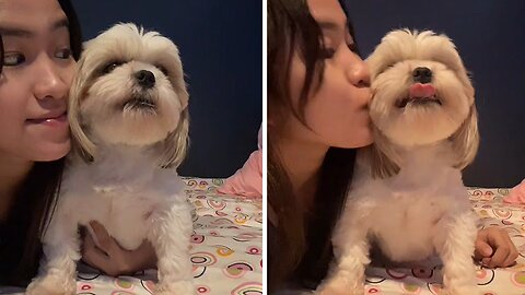 Grumpy dog doesn't like kisses