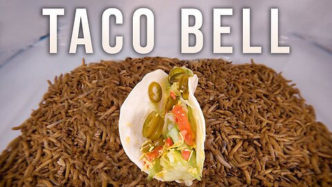 10 000 Mealworms vs. TACO BELL