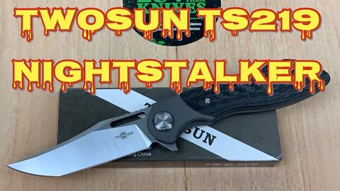 TwoSun TS219 NightStalker / includes disassembly/ another great design from Jelly Jerry !