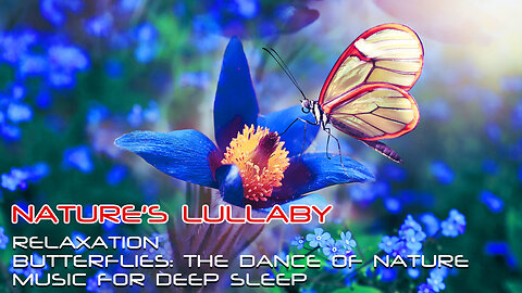Nature's Lullaby: Relaxing Butterflies: the dance of nature Music for Deep Sleep