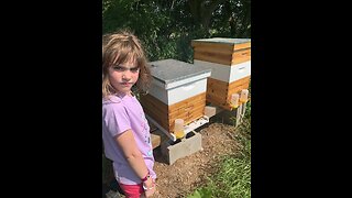 6 year old beekeeper