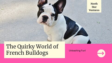 Unleashing Fun: The Quirky World of French Bulldogs 🐾