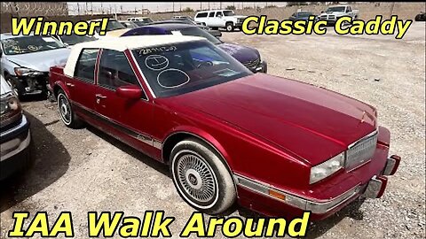 Tesla For Cheap, i8 BMW, Cadillac Classic Winner! IAA Walk Around