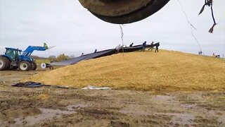 Many Hands Make Light Work... Covering Corn Silage, 2019