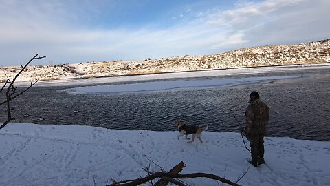 Dopey dog retrieves duck