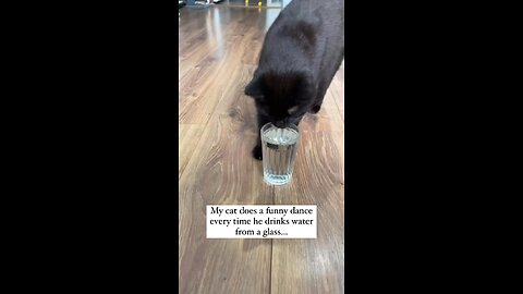 Cat Does Funny Dance When Drinking Water 🐱