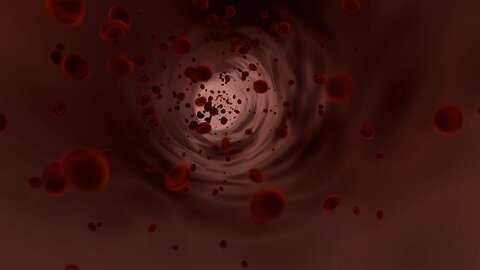 Red blood cells in our Body