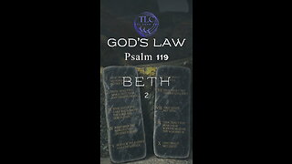 GOD'S LAW - Psalm 119 - 2 - Purity, the fruit of the law #shorts