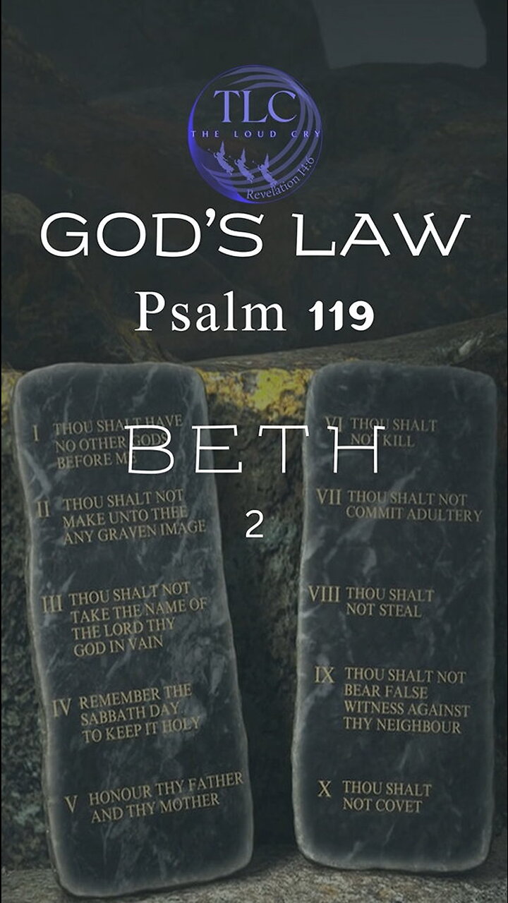 god-s-law-psalm-119-2-purity-the-fruit-of-the-law-shorts