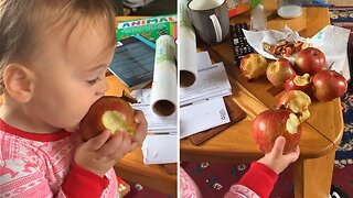 Toddler's Favorite Food Is Clearly Apples