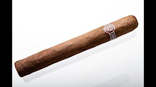 Padron 4000 Natural Cigar Review