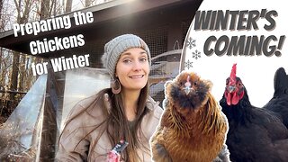 Winter Chicken Care | Winterizing the Chicken Coop