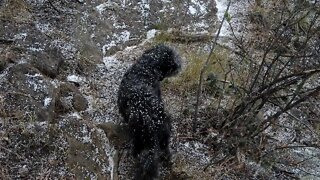 Winter Arrives in New Mexico