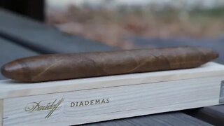 Team Review Recap: Davidoff 100th Anniversary Diademas